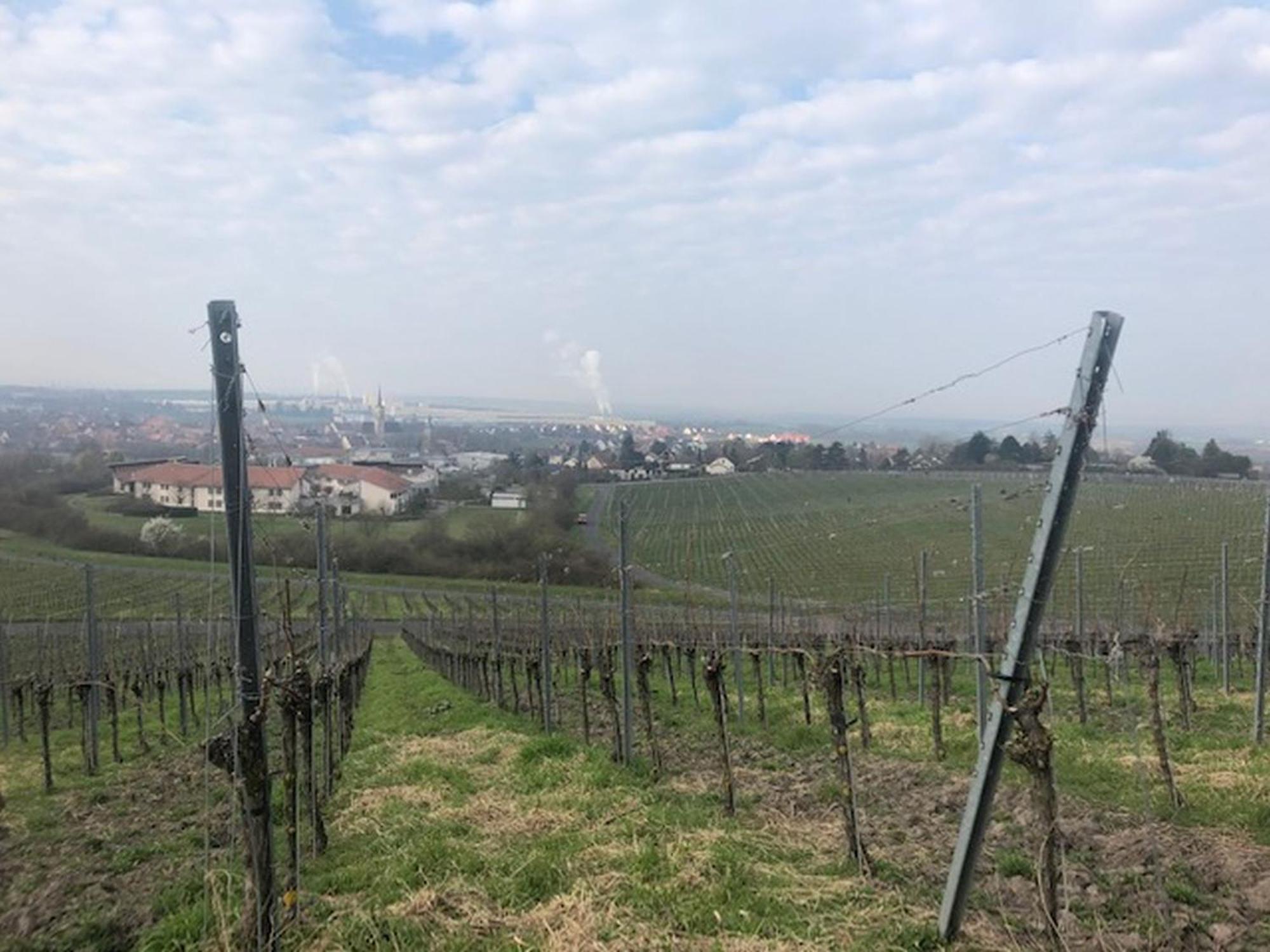 Ferienwohnung Weinberg Markt Einersheim Exterior foto